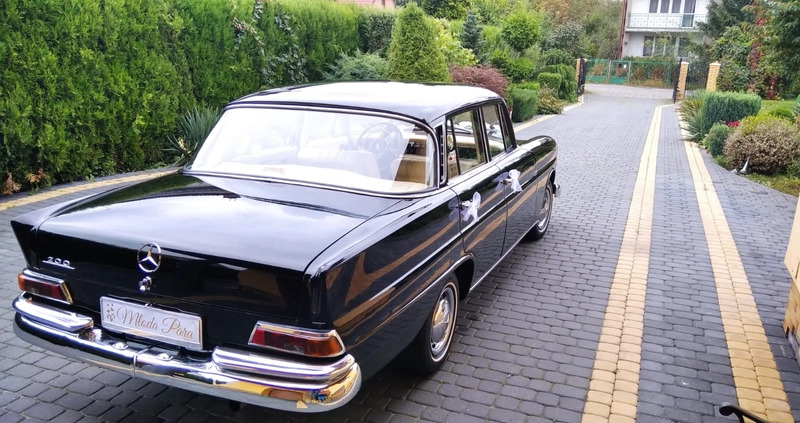 Mercedes-Benz Inny cena 70000 przebieg: 84000, rok produkcji 1967 z Lipno małe 79